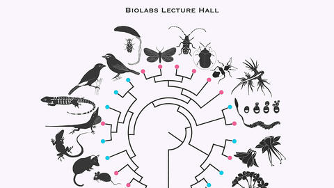 OEB G4 symposium logo