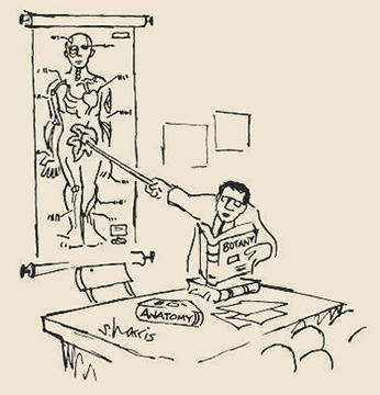cartoon_anatomy.jpg