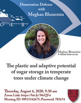Meghan Blumstein thesis defense announcement
