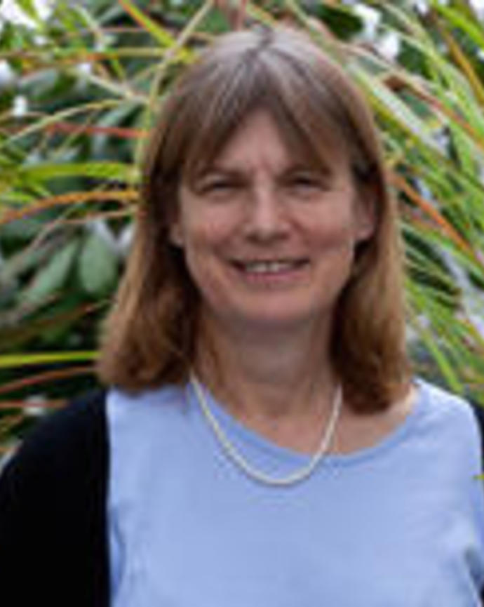 Professor Noel Holbrook